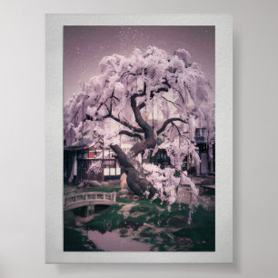 Serene Sakura Träd Poster