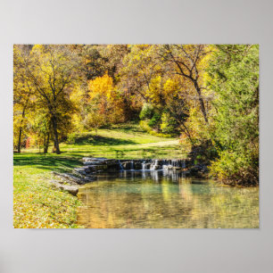 Serene Scene i Dogwood Bäck Poster