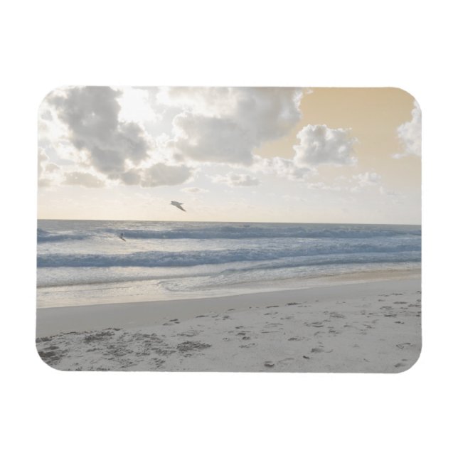 Serene Sea Magnet (Horisontell)
