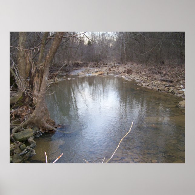 Serene Stream Poster (Framsidan)