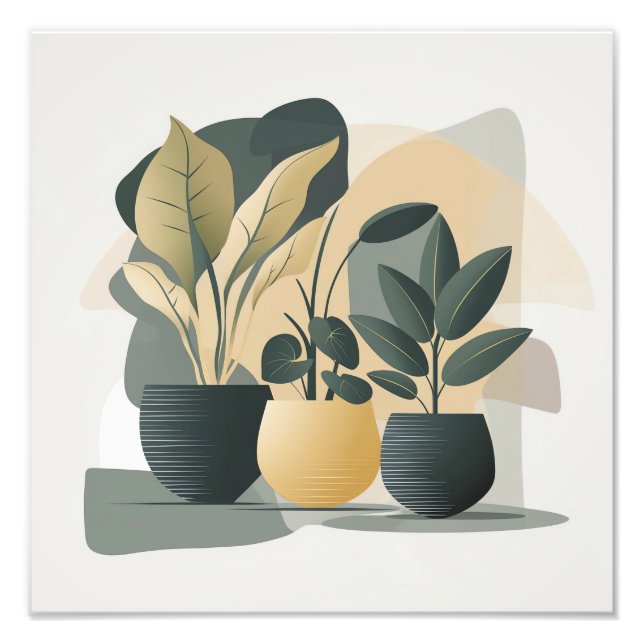 Serene Succulents Fototryck (Framsidan)