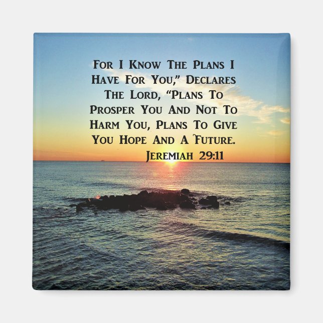SERENE SUNRISE JEREMIAH 29:11 SCRIPTURE DESIGN MAGNET (Framsidan)