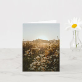 Serene sunrise meadow kort