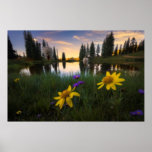 Serene Sunrise över en Colorado Pond Poster (Framsidan)