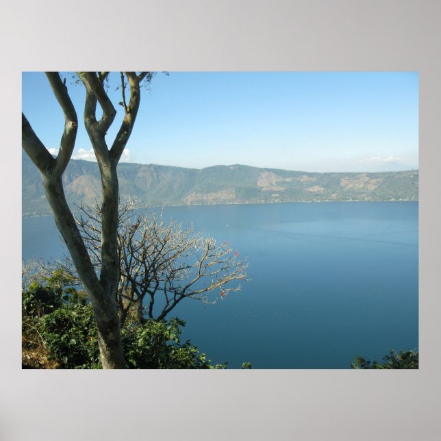 Serene Vista Poster (Framsidan)