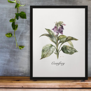 Serene Watercolor Comfrey, anpassningsbar Poster