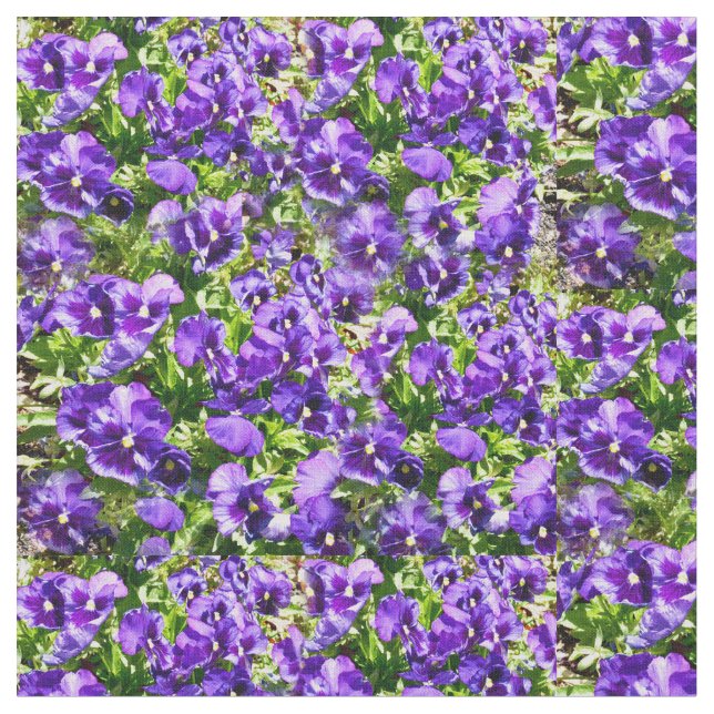 Serenéhavet: Den vackra Lilan Pansy Fält Tyg (Närbild)