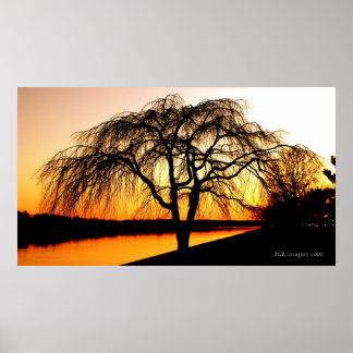 Serengeti i staden poster