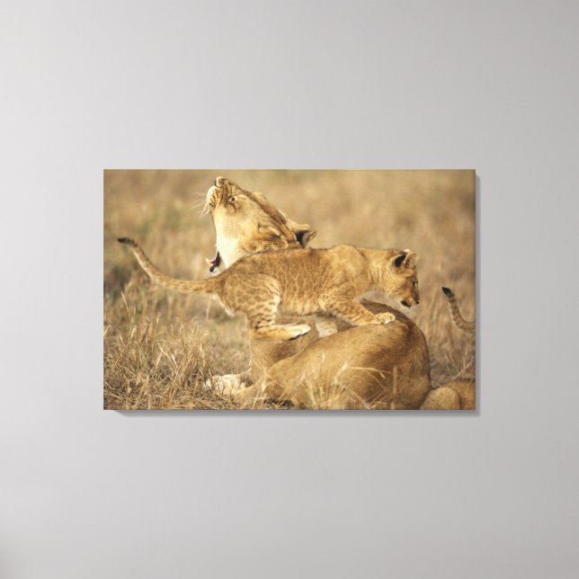 Serengeti nationalpark, Tanzania Canvastryck (Framsida)