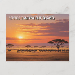 Serengeti nationalpark Tanzania-vykort Vykort