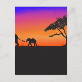 Serengeti Nätter Vykort