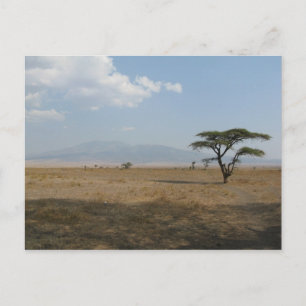 Serengeti Plains Vykort