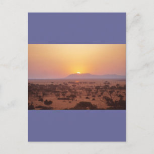 Serengeti solnedgång vykort