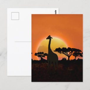 Serengeti Sunset Giraffe   Safari Wildlife Vykort