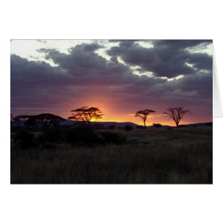 Serengeti_sunset Hälsningskort