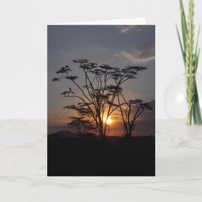 Serengeti Sunset Kort (Framsida)