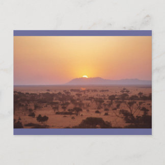 Serengeti Sunset Vykort