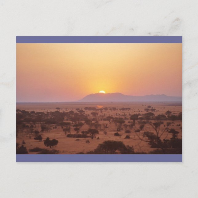 Serengeti Sunset Vykort (Framsida)