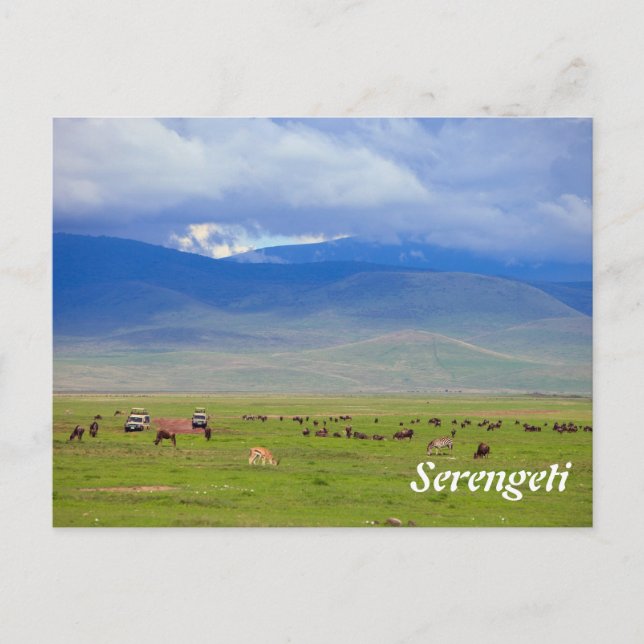 Serengeti Vykort (Framsida)