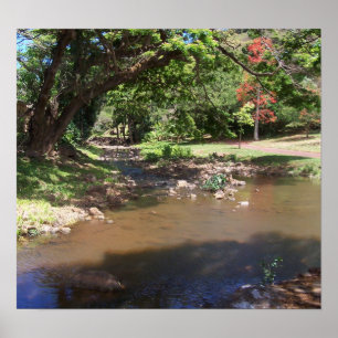 Serenitéfloden Poster