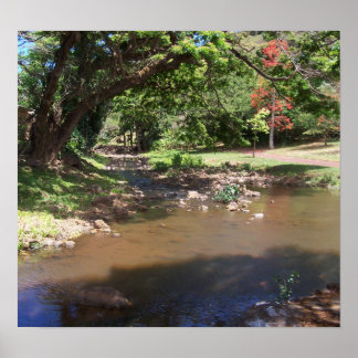 Serenitéfloden Poster