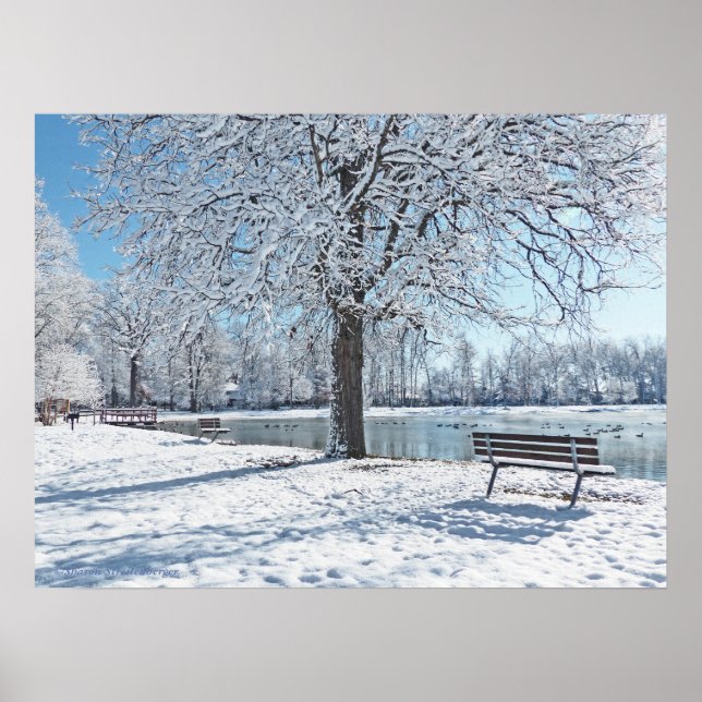 SERENITET VID OLANDER PARK/FÖRSTA SNÖ-FALL POSTER (Framsidan)