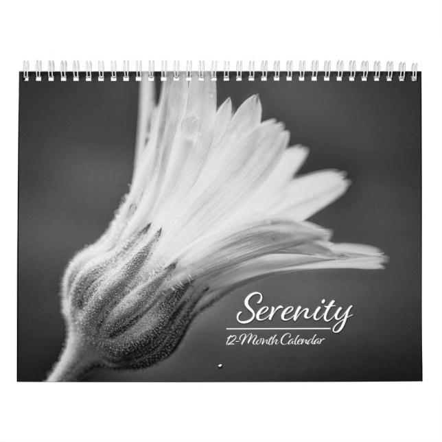 Serenity 12-månaders kalender (Omslag)