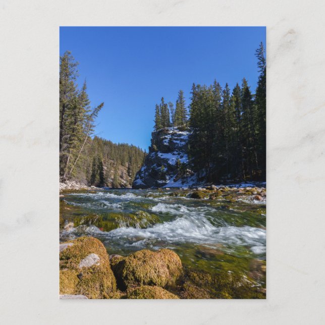 Serenity at the 5th Bridge - Athabasca River Vykort (Framsida)