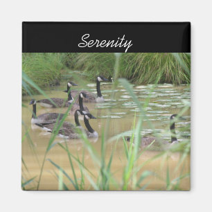Serenity Canada Geese Inspirational Nature Magnet