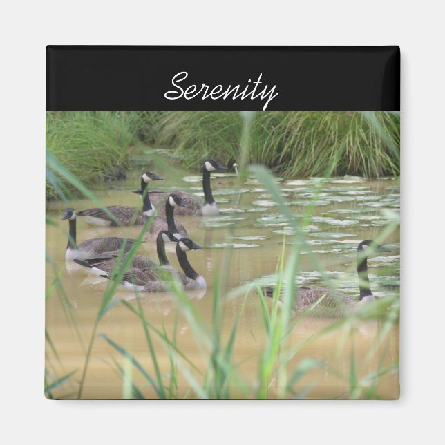 Serenity Canada Geese Inspirational Nature Magnet (Framsidan)