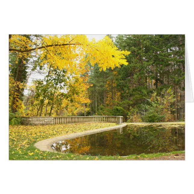 Serenity Hälsningskort (Framsidan Horizontal)