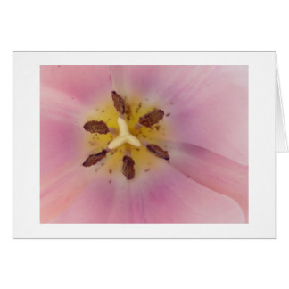 Serenity Hälsningskort