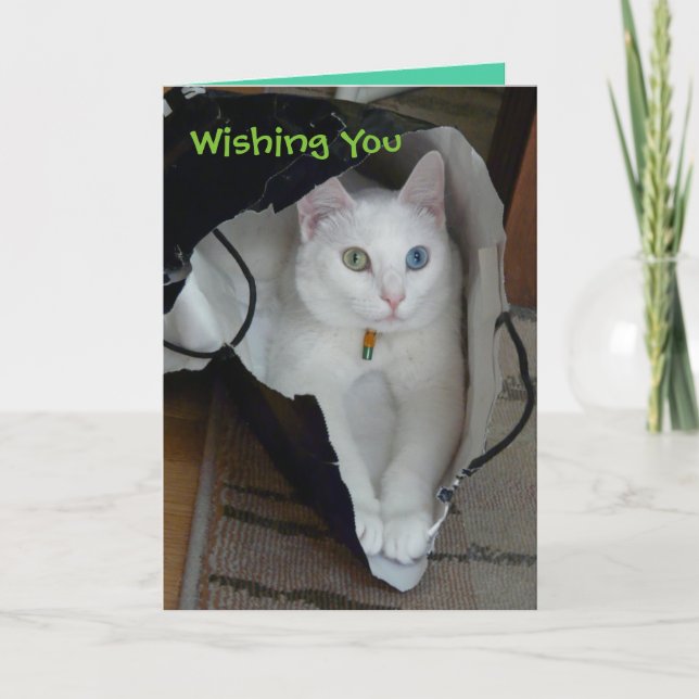 Serenity hängt lös helgdagkort helgkort (Framsida)