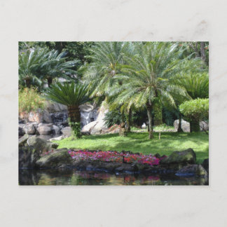 Serenity i Kauai Vykort