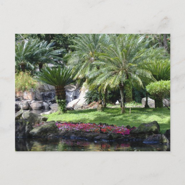 Serenity i Kauai Vykort (Framsida)