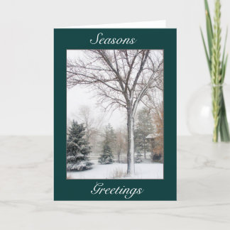 Serenity i snöstormen helgkort