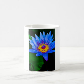 Serenity Kaffemugg