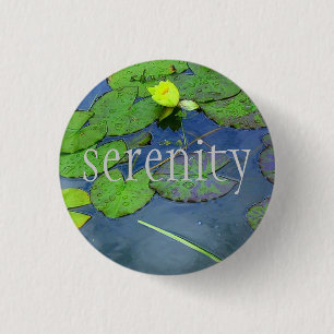 serenity knapp
