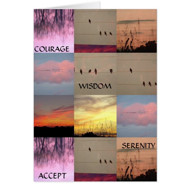 SERENITY KURAGE, VISHET, ACCEPTERAR HÄLSNINGSKORT (Framsidan)