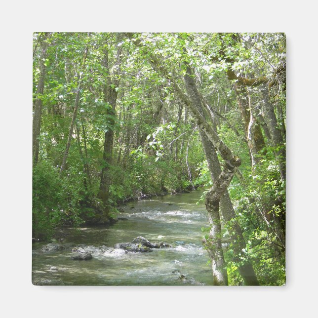 Serenity.... Magnet (Framsidan)