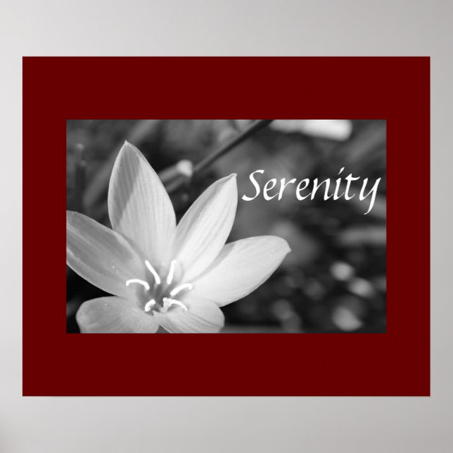 Serenity Poster (Framsidan)