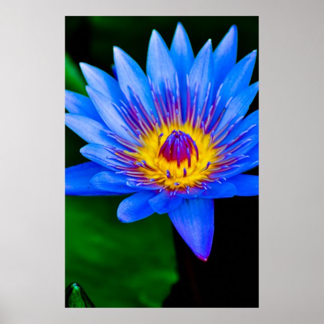 Serenity - poster (Framsidan)