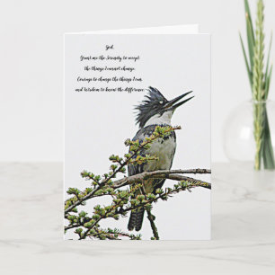 Serenity Prayer Belted Kingfisher Bird Blank Kort