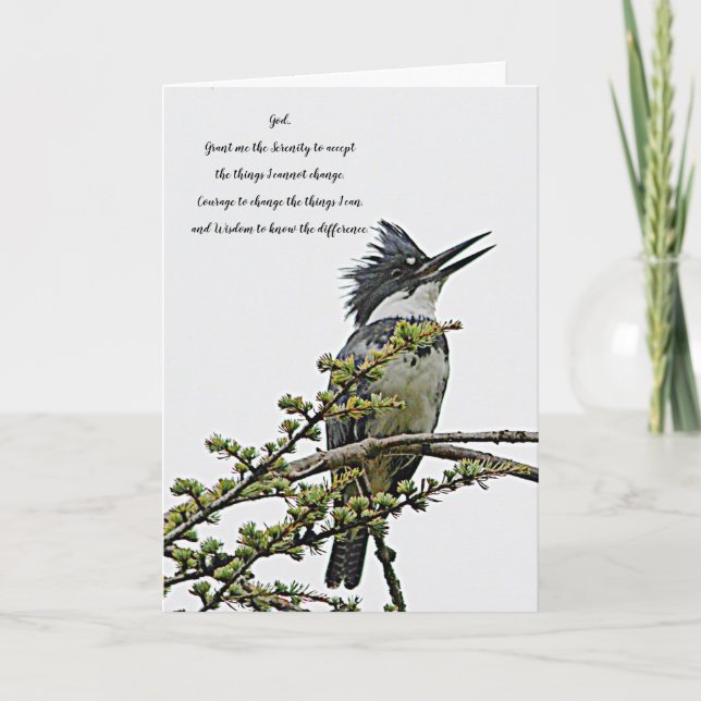 Serenity Prayer Belted Kingfisher Bird Blank Kort (Framsida)