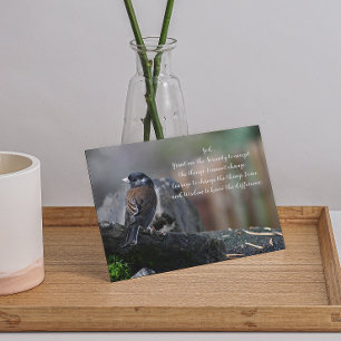 Serenity Prayer Bird på Gren Photo Blank Kort