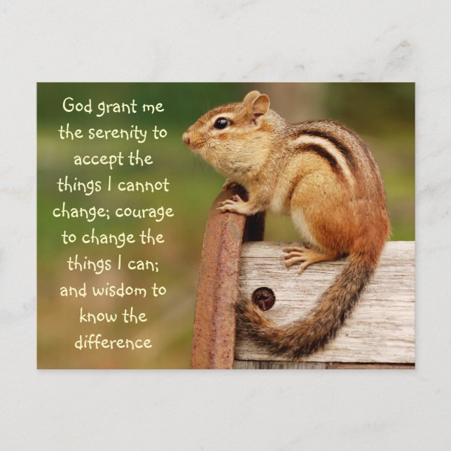 Serenity Prayer Chipmunk-vykort Vykort (Framsida)