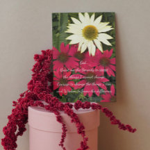 Serenity Prayer Coneflowers Blommigt Blank