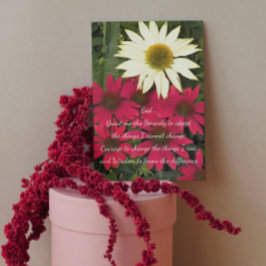 Serenity Prayer Coneflowers Blommigt Blank Kort