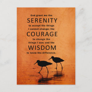 Serenity Prayer (Fiskmås, Beach, Gud Grant Me) Vykort