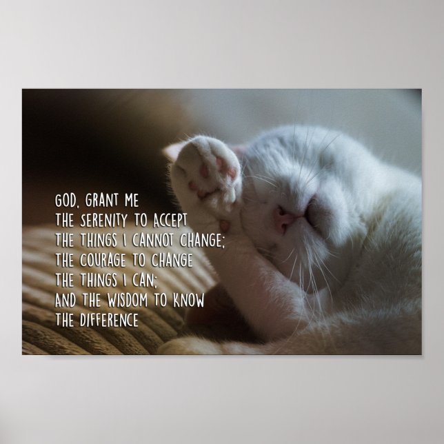 Serenity Prayer, fredliga kattjolar Poster (Framsidan)